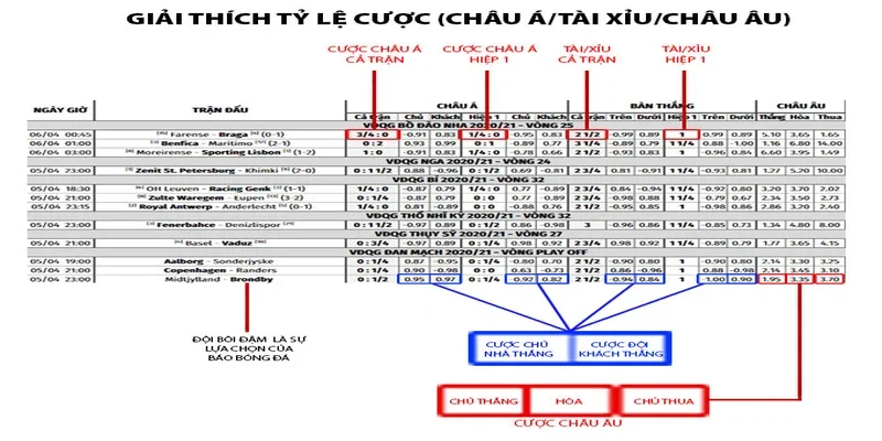 Cung cấp nhiều thông tin hữu ích cho người chơi