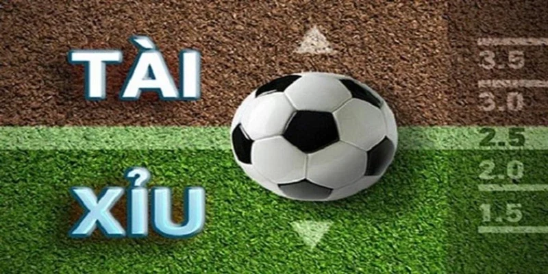 Kinh nghiệm chơi kèo tài xỉu 2.5 hiệu quả nhất