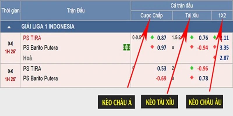 Tại sao người chơi nên chọn tỷ lệ cá cược tại nhà cái Betvision?