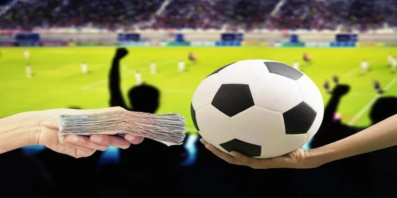 Trải nghiệm cá cược thể thao tại Betvision