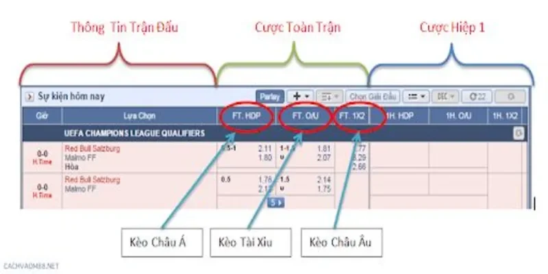 Tỷ Lệ Cá Cược